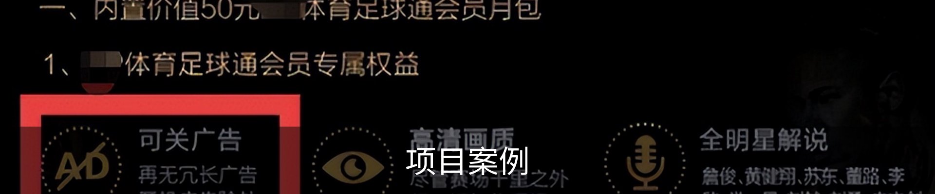 项目案例